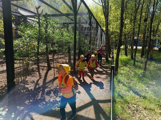 Grafika #20: 18.05.2023 Wycieczka do Doliny Charlotty cz.III