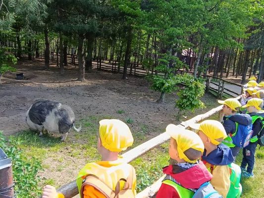 Grafika #21: 18.05.2023 Wycieczka do Doliny Charlotty cz.III