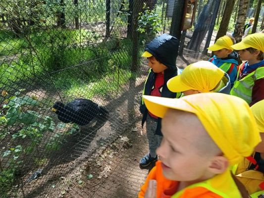 Grafika #22: 18.05.2023 Wycieczka do Doliny Charlotty cz.III