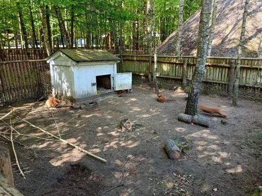 Grafika #24: 18.05.2023 Wycieczka do Doliny Charlotty cz.III