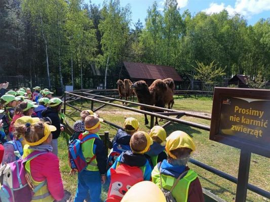 Grafika #31: 18.05.2023 Wycieczka do Doliny Charlotty cz.III
