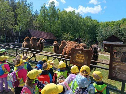 Grafika #37: 18.05.2023 Wycieczka do Doliny Charlotty cz.III