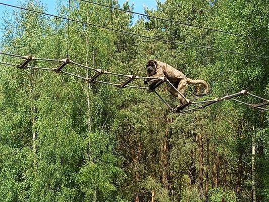 Grafika #38: 18.05.2023 Wycieczka do Doliny Charlotty cz.III