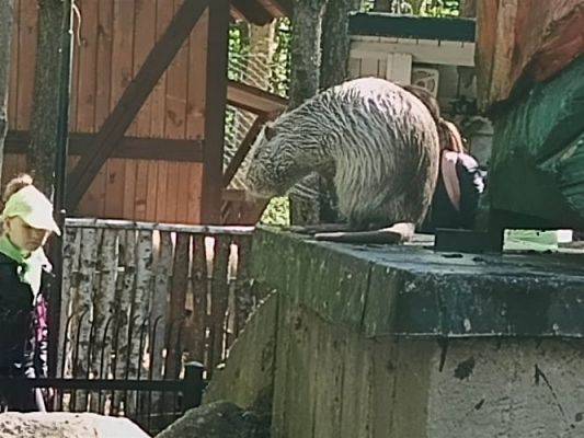 Grafika #41: 18.05.2023 Wycieczka do Doliny Charlotty cz.III