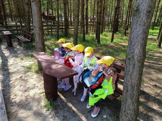 Grafika #43: 18.05.2023 Wycieczka do Doliny Charlotty cz.III