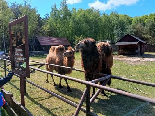 Grafika #45: 18.05.2023 Wycieczka do Doliny Charlotty cz.III