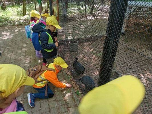 Grafika #48: 18.05.2023 Wycieczka do Doliny Charlotty cz.III