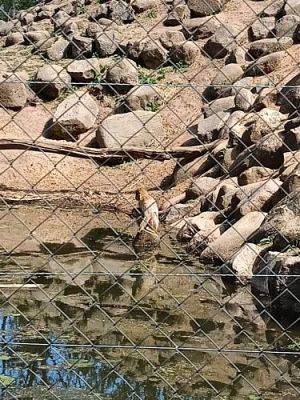 Grafika #52: 18.05.2023 Wycieczka do Doliny Charlotty cz.III