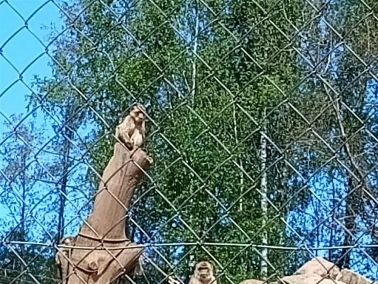 Grafika #56: 18.05.2023 Wycieczka do Doliny Charlotty cz.III