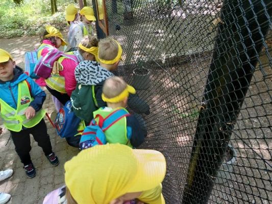 Grafika #59: 18.05.2023 Wycieczka do Doliny Charlotty cz.III