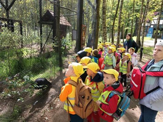 Grafika #66: 18.05.2023 Wycieczka do Doliny Charlotty cz.III