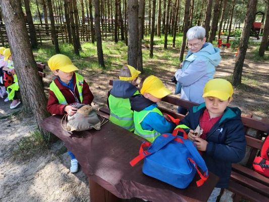 Grafika #70: 18.05.2023 Wycieczka do Doliny Charlotty cz.III