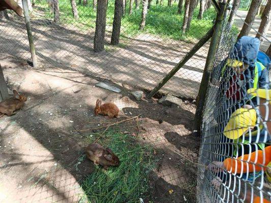 Grafika #72: 18.05.2023 Wycieczka do Doliny Charlotty cz.III