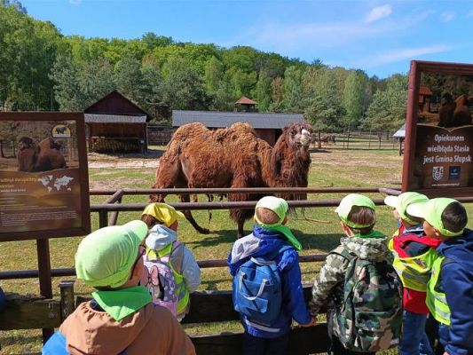 Grafika #73: 18.05.2023 Wycieczka do Doliny Charlotty cz.III