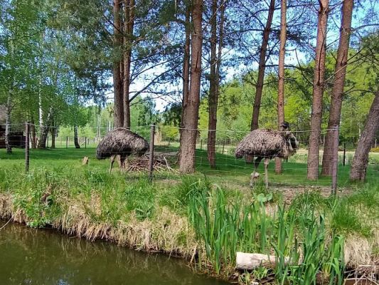 Grafika #78: 18.05.2023 Wycieczka do Doliny Charlotty cz.III