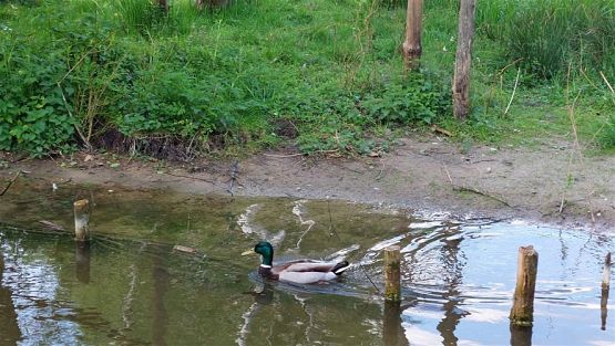 Grafika #0: 18.05.2023 Wycieczka do Doliny Charlotty cz.II