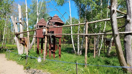 Grafika #1: 18.05.2023 Wycieczka do Doliny Charlotty cz.II