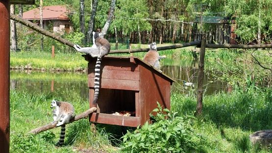 Grafika #11: 18.05.2023 Wycieczka do Doliny Charlotty cz.II