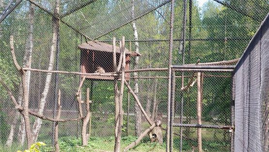 Grafika #18: 18.05.2023 Wycieczka do Doliny Charlotty cz.II