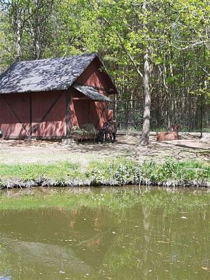 Grafika #52: 18.05.2023 Wycieczka do Doliny Charlotty cz.II