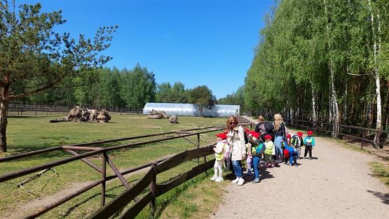 Grafika #56: 18.05.2023 Wycieczka do Doliny Charlotty cz.II