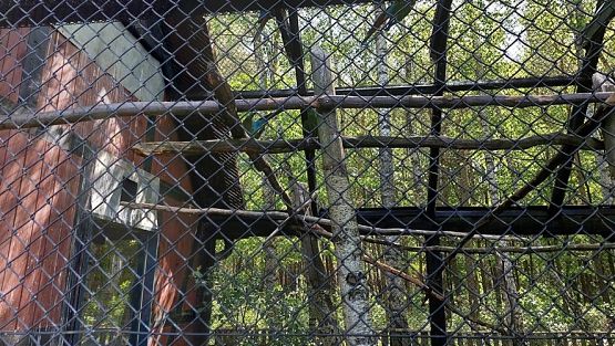 Grafika #64: 18.05.2023 Wycieczka do Doliny Charlotty cz.II