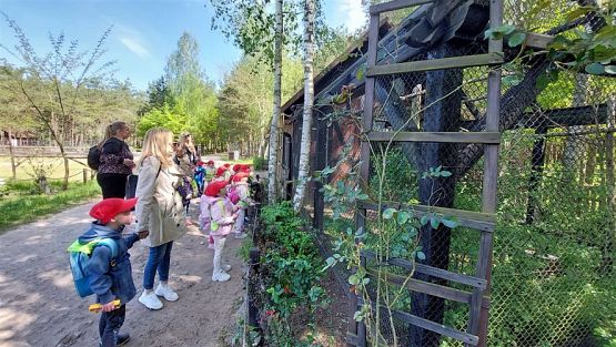 Grafika #65: 18.05.2023 Wycieczka do Doliny Charlotty cz.II