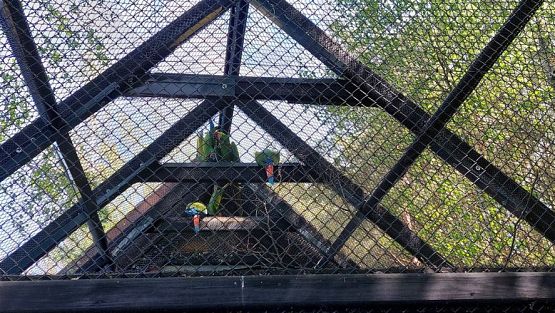 Grafika #66: 18.05.2023 Wycieczka do Doliny Charlotty cz.II