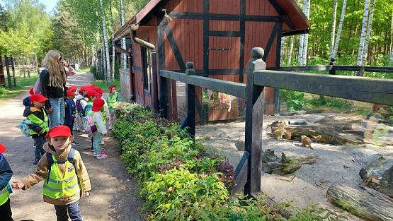 Grafika #69: 18.05.2023 Wycieczka do Doliny Charlotty cz.II