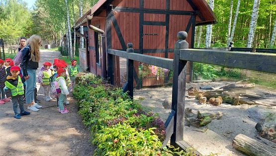 Grafika #70: 18.05.2023 Wycieczka do Doliny Charlotty cz.II