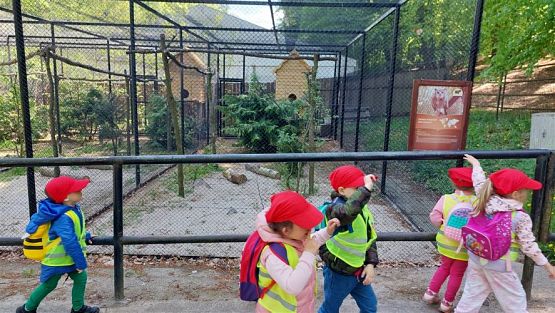 Grafika #75: 18.05.2023 Wycieczka do Doliny Charlotty cz.II