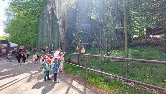 Grafika #77: 18.05.2023 Wycieczka do Doliny Charlotty cz.II