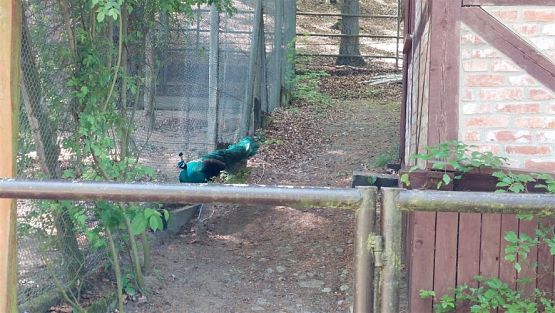 Grafika #81: 18.05.2023 Wycieczka do Doliny Charlotty cz.II