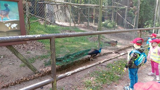 Grafika #82: 18.05.2023 Wycieczka do Doliny Charlotty cz.II