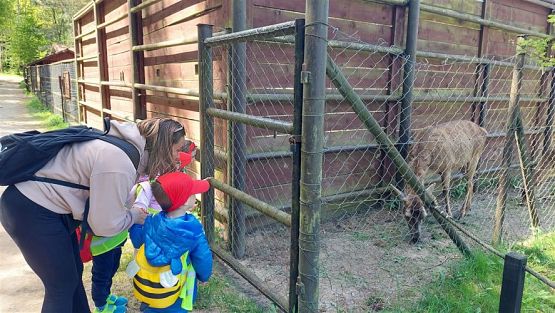 Grafika #84: 18.05.2023 Wycieczka do Doliny Charlotty cz.II