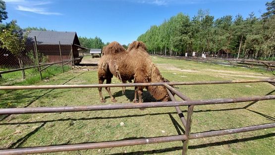 Grafika #86: 18.05.2023 Wycieczka do Doliny Charlotty cz.II