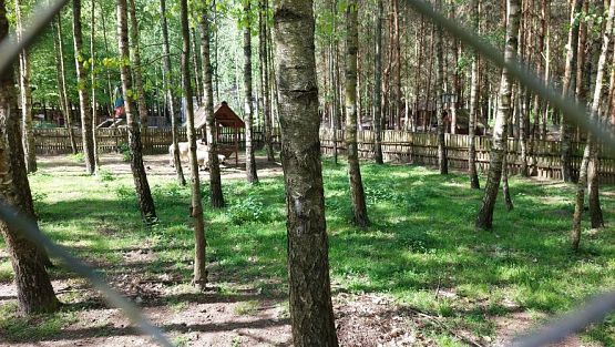 Grafika #20: 18.05.2023 Wycieczka do Doliny Charlotty cz.I