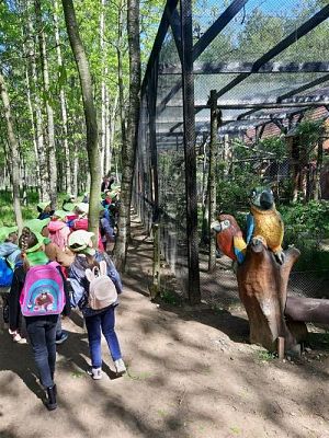 Grafika #21: 18.05.2023 Wycieczka do Doliny Charlotty cz.I