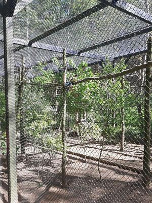 Grafika #24: 18.05.2023 Wycieczka do Doliny Charlotty cz.I