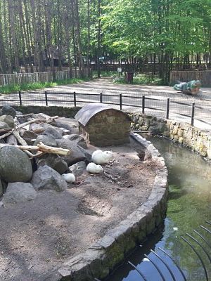 Grafika #29: 18.05.2023 Wycieczka do Doliny Charlotty cz.I