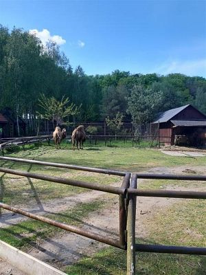 Grafika #46: 18.05.2023 Wycieczka do Doliny Charlotty cz.I