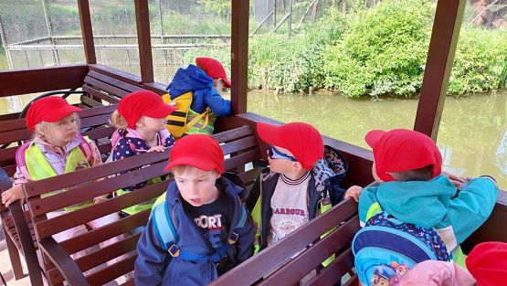 Grafika #52: 18.05.2023 Wycieczka do Doliny Charlotty cz.I