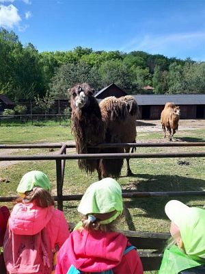 Grafika #54: 18.05.2023 Wycieczka do Doliny Charlotty cz.I