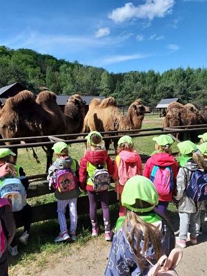 Grafika #55: 18.05.2023 Wycieczka do Doliny Charlotty cz.I