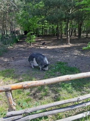 Grafika #57: 18.05.2023 Wycieczka do Doliny Charlotty cz.I