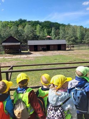 Grafika #58: 18.05.2023 Wycieczka do Doliny Charlotty cz.I