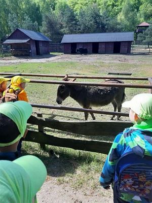 Grafika #64: 18.05.2023 Wycieczka do Doliny Charlotty cz.I