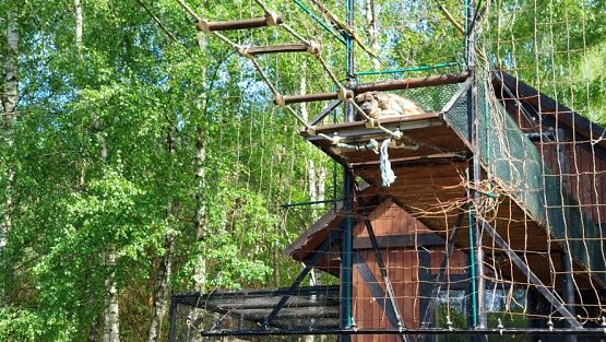 Grafika #66: 18.05.2023 Wycieczka do Doliny Charlotty cz.I