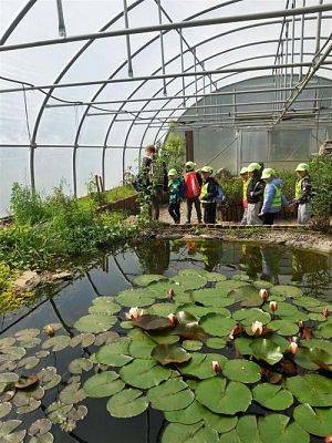 Grafika #74: 18.05.2023 Wycieczka do Doliny Charlotty cz.I