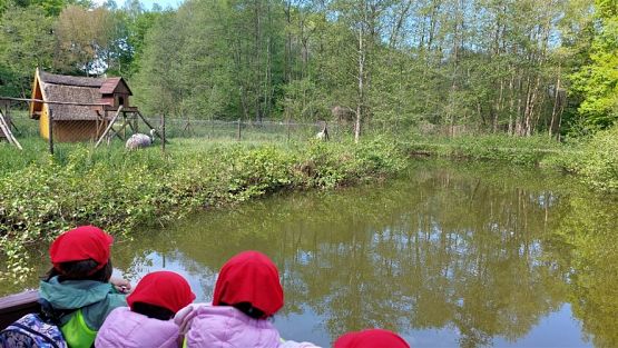 Grafika #77: 18.05.2023 Wycieczka do Doliny Charlotty cz.I